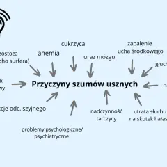 Schemat przedstawia przyczyny szumów usznych, m.in. cukrzycę, anemię, uraz mózgu, nadciśnienie, utratę słuchu na skutek hałasu.