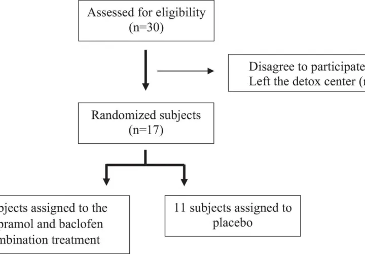 Schemat badania: 30 osób oceniono pod kątem kwalifikacji, 17 zrandomizowano. 6 osób otrzymało opipramol i baklofen, 11 placebo.