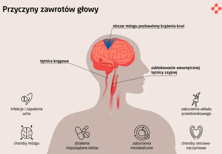 Przyczyny zawrotów głowy i wymiotów: blokada tętnicy szyjnej, choroby mózgu, infekcje ucha, zaburzenia metaboliczne i sercowo-naczyniowe.