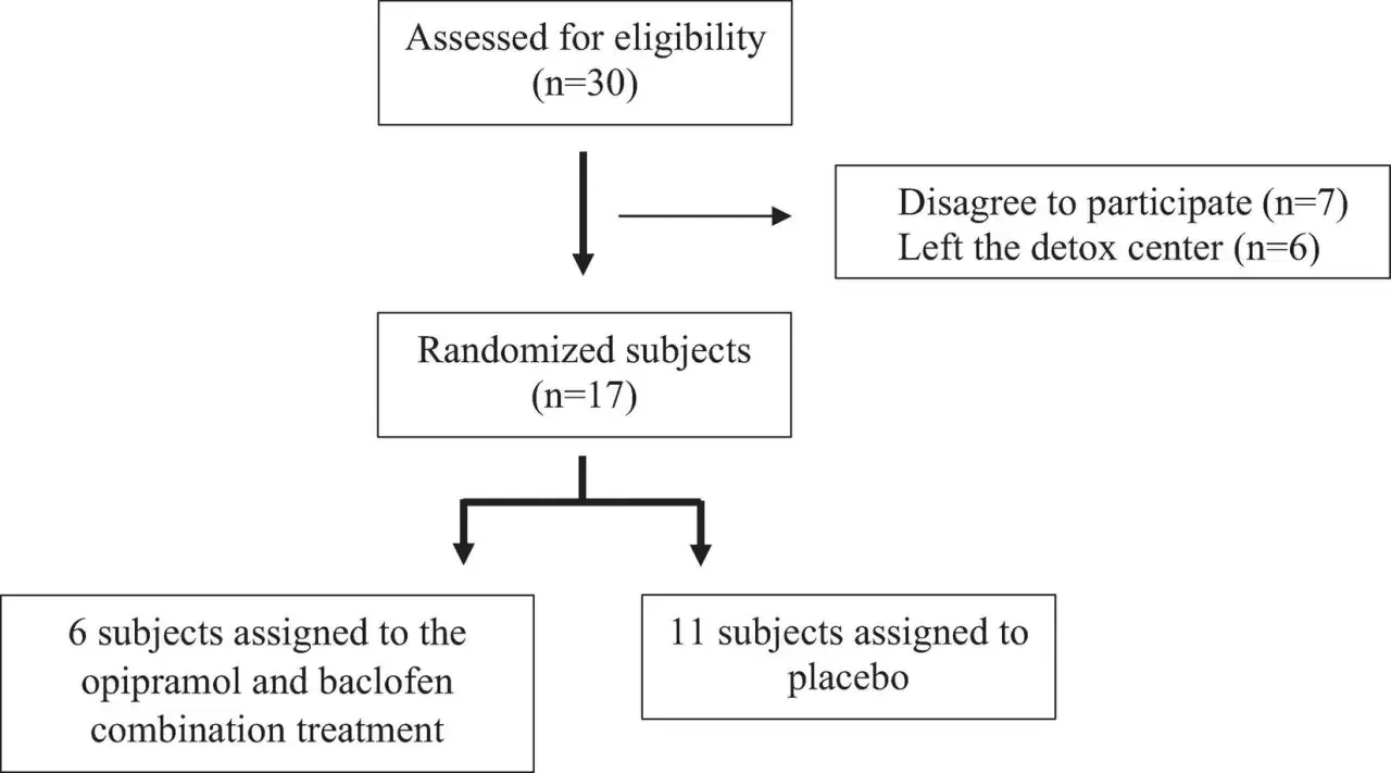 Schemat badania: 30 osób oceniono pod kątem kwalifikacji, 17 zrandomizowano. 6 osób otrzymało opipramol i baklofen, 11 placebo.