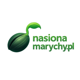 nasionamarychy.pl